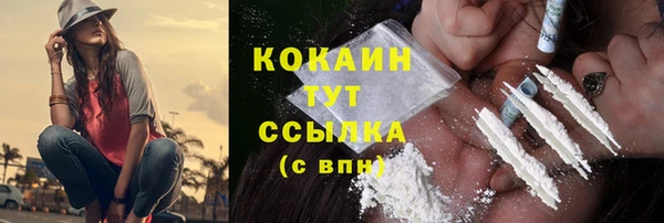 прущие грибы Всеволожск