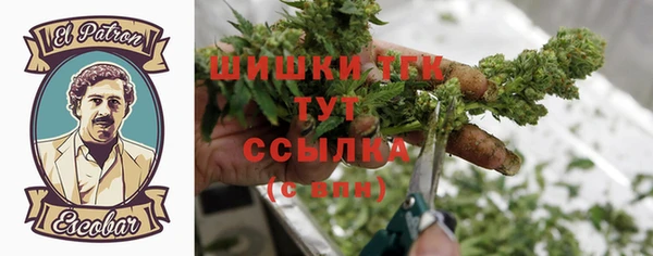 PSILOCYBIN Мурманск