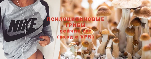 мдма Осинники