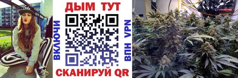 Бошки Шишки конопля  цены   МЕГА как зайти  Агидель 